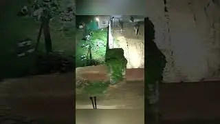 #earthquake #jaipur #viral #breakingnews #vlog #original #trending #youtubeshorts #real #rajasthan