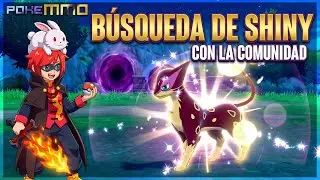 ☕🌙 Jueves Relax de Caza Shiny | Charla, premios si sacas shiny #pokemon  ✨