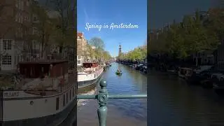 Spring is a perfect season to visit Amsterdam #amsterdamnetherlands #amsterdam #travel #spring