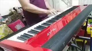 Roland Fp 8 by markee