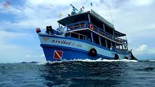 Погружение на пароход Suddhadib | Hardeep Wreck Diving at Samaesan in July 2016 | Diving in Pattaya