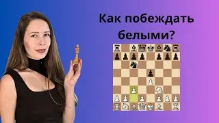 Дебют Понциани в действии: ловушки и быстрые победы