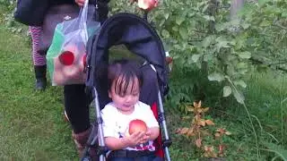 Apple picking @ Germantown, MD