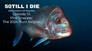 Episode 55 Pink Snapper The 2024 Hunt Begins
