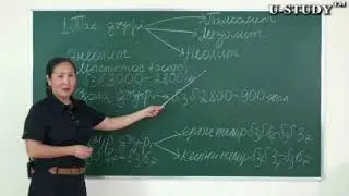ҰБТ-ға дайындық: Тас дәуірі (Энеолит - Мыстытас ғасыры)