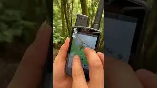 Best GPS Dog Tracking and Training Collar