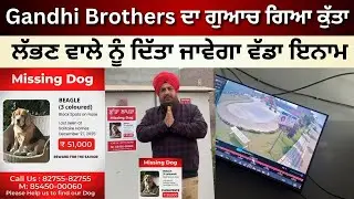 Missing Dog: ਮਸ਼ਹੂਰ ਲਾਟਰੀ ਵਿਕਰੇਤਾ Gandhi Brothers ਦਾ ਗੁੰਮ ਹੋਇਆ ਕੁੱਤਾ, ਲੱਭਣ ਵਾਲੇ ਦਿੱਤਾ ਜਾਵੇਗਾ ਇਨਾਮ