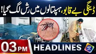 Dengue Virus Spreading Rapidly Across Pakistan | Headlines 03 PM | 17 Nov 25 | Lahore Rang