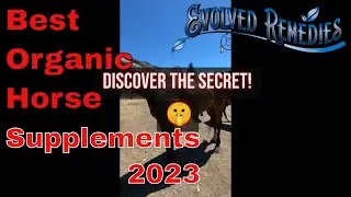 Best Organic Horse Supplements 2023: The Secret Potion Revealed!