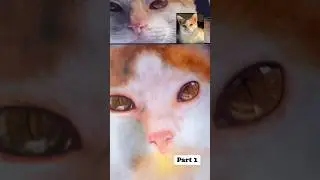 Digital Cat Sketch - Realism cia Huawei Matepad #fyp #foryou #feedshorts #trending
