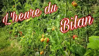 BILAN POTAGER / EXPLICATION DE MON ABSENCE