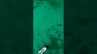 Hooked a Tarpon from a Big School&mdash;That Take Never Gets Old! 🎣🔥