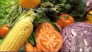 Better - Mosaic Florida - On TV
