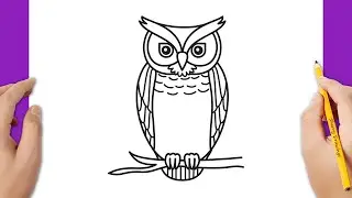 How to draw an owl