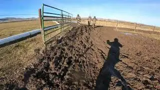 Duck hunting in open field