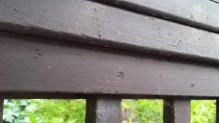 Remove paint filled screw