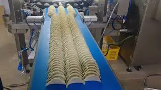 Automatic Gyoza Machine in Customer Factory | High-Speed Frozen Food Production