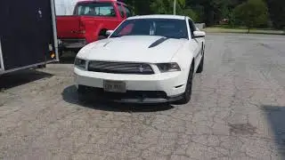 Mustang Squad