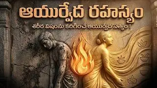 ఆమము అంటే ఏమిటి? ఆయుర్వేదం చెప్పిన రోగాల అసలు మూలం | Sanathana Life