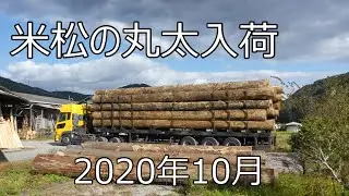 トレーラー1台分の米松の丸太入荷　一気にフォークリフトで原木おろし 2020年10月