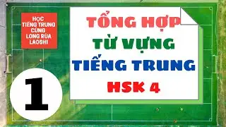 Tổng Hợp Từ Vựng Tiếng Trung HSK 4 - Phần 1 | Tự Học Tiếng Trung Online | Long Rùa Laoshi