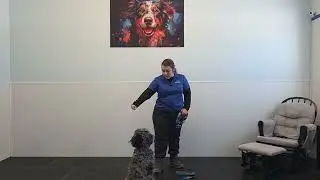 Bear the Bernedoodle | Leave It Foundations | Best Paw Forward Board and Train – Week 2