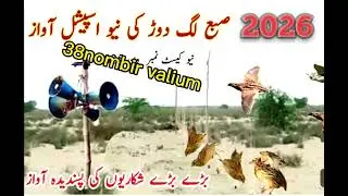 Quil sound subha ka liy