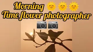 Morning🌞🌞 time flower🌺🌻🌹🌷 photographer 📷📷📷 fazar kya time phool ki photographer📷📷📷