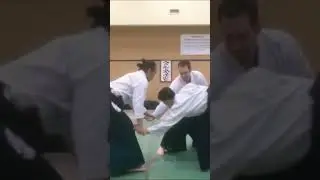 WOW!合氣 | Aiki 5 Points : 四教十字重ね | Yonkyo Crisscross 弐人掛け