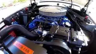 Ford Mustang Sportsroof 1969 r. 351 stroker GOPRO WATCHTHISCAR