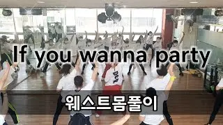 If you wanna party/에어로빅/웨스트몸풀이/옆구리살 날려버리자!!