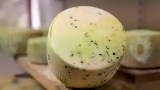 Kmetija pri Bašlju