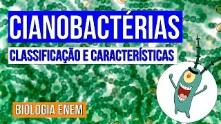 CIANOBACTÉRIAS: classificação e características | Resumo de Biologia para o Enem | Cláudia Aguiar