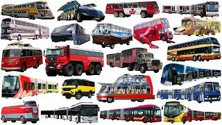 STRANGEST BUSES, BIGGEST and LONGEST Buses  | Big bus, Superbus - Learning Vehicle Types of Bus