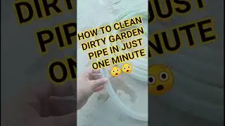 How to Clean Garden Pipe in 1 Minute&nbsp; 🌿🚿 | Easy Gardening Hack #garden #trending #viral #pipe