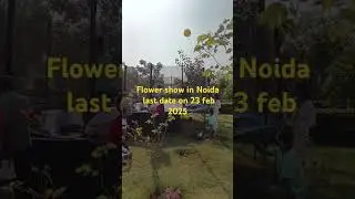 Flower show noida 2025