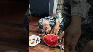 Cute Baby Monkey Tries Watermelon for the First Time 🍉 | Sweet & Funny Moment