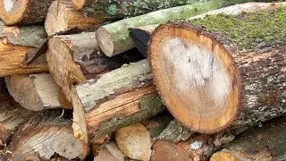 Da li neko kupuje ogrev u decembru?