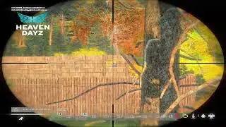 HEAVEN | 2K DAYZ FRAGMOVIE #heaven #dayz #fragmovie