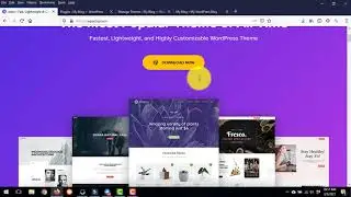 WP ASTRA Pro Agency Bundle Demo