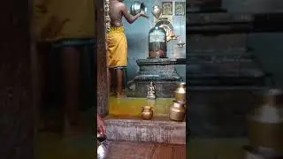 அருள்மிகு ஸ்ரீ ராஜராஜ சோழீஸ்வரர் பிரதோஷ அபிஷேக ஆராதனை 🙏🙏🙏