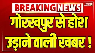 Gorakhpur News: गोरखपुर से होश उड़ाने वाली खबर ! | Uttar Pradesh | Hindi News | Big Breaking News