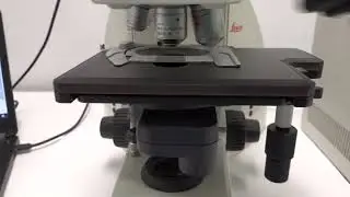 Leica DM5000 Microscope Set1 (3 obj.) [BOSTONIND] - GLMC