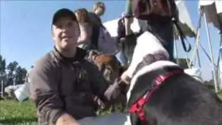 Sneak Peek:  Walk For the Animals 2009
