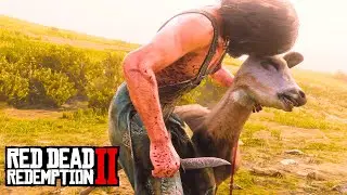 PERDIDO NO FAROESTE #1 - COMEÇANDO DO ZERO NO MODO SOBREVIVÊNCIA - Red Dead Redemption 2