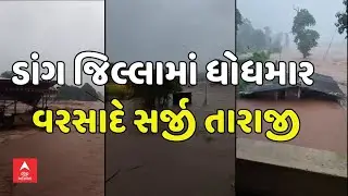 Dang Flood | ડાંગ જિલ્લામાં ધોધમાર વરસાદે સર્જી તારાજી | abp Asmita LIVE