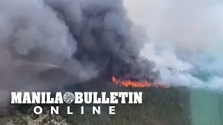Wildfire ravages massive section of Argentine forest