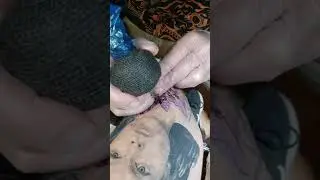 death hawk moths tattoo