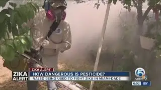 How dangerous is pesticide?