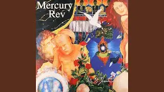 Spiders And Flies